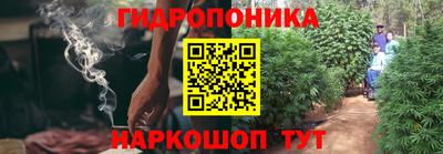 a pvp Камышлов