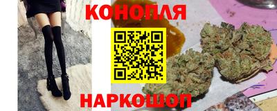 a pvp Камышлов